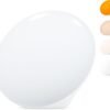 41rQr5w6j4L._AC_SL1500_ LASTAR Sun Lamp, 10,000 Lux Sunlight Lamp with 4 Color Temperatures & 5 Brightness & 1H Timer, Touch Control Daylight Lamp with Memory Function for Home
