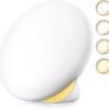 MediAcous Light Therapy Lamp, UV-Free 10000Lux Therapy Light, Sunlight Lamp with 4 Brightness Levels & Color Temperature & Timer, Daylight Lamp with Memory Function, Touch Control & Compact Size