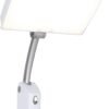 Carex Day-Light Sky Bright Sunlight Therapy Lamp, 10000 LUX Therapy Lamp at 12 Inches, LED Bright White Light with Adjustable Height and Brightness Levels for Mood, White