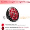 wolezek Red Light Therapy Bulb, 18 LEDs Red Light for Body and Face with 660nm and 850nm Near-Infrared Combo Wavelength, Infrared Light Therapy Lamp Device for Skin Care Pain Relief (Only Bulb)