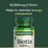 Nature's Bounty Biotin Hair Skin and Nails Vitamins, Supports Healthy Hair, Skin and Nails, 10,000 mcg, 120 Softgels (Pack of 1)