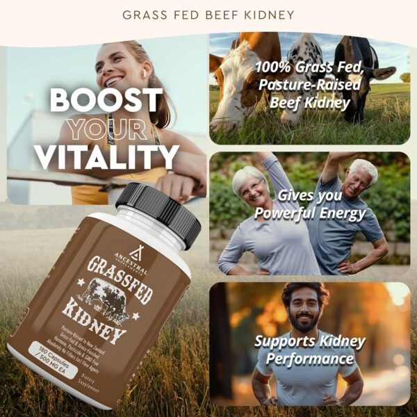 81T-H5uBkwL._AC_SL1500_ Ancestral Supplements Grass Fed Beef Kidney Supplement, 3000mg, DAO Enzyme Supplement, Kidney Support for Urinary and Histamine Health, Selenium, B12, Non GMO, 180 Capsules